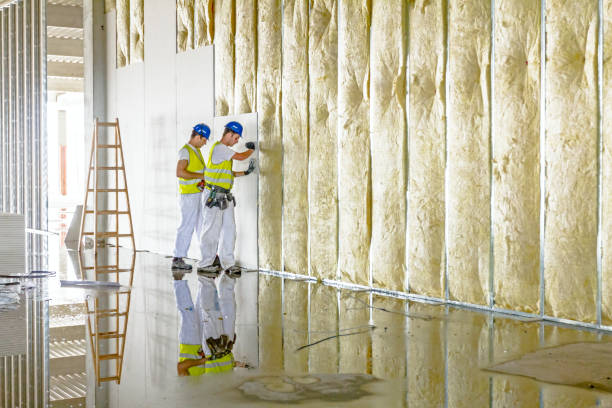 Best Insulation Maintenance and Repair in Briar Chapel, NC